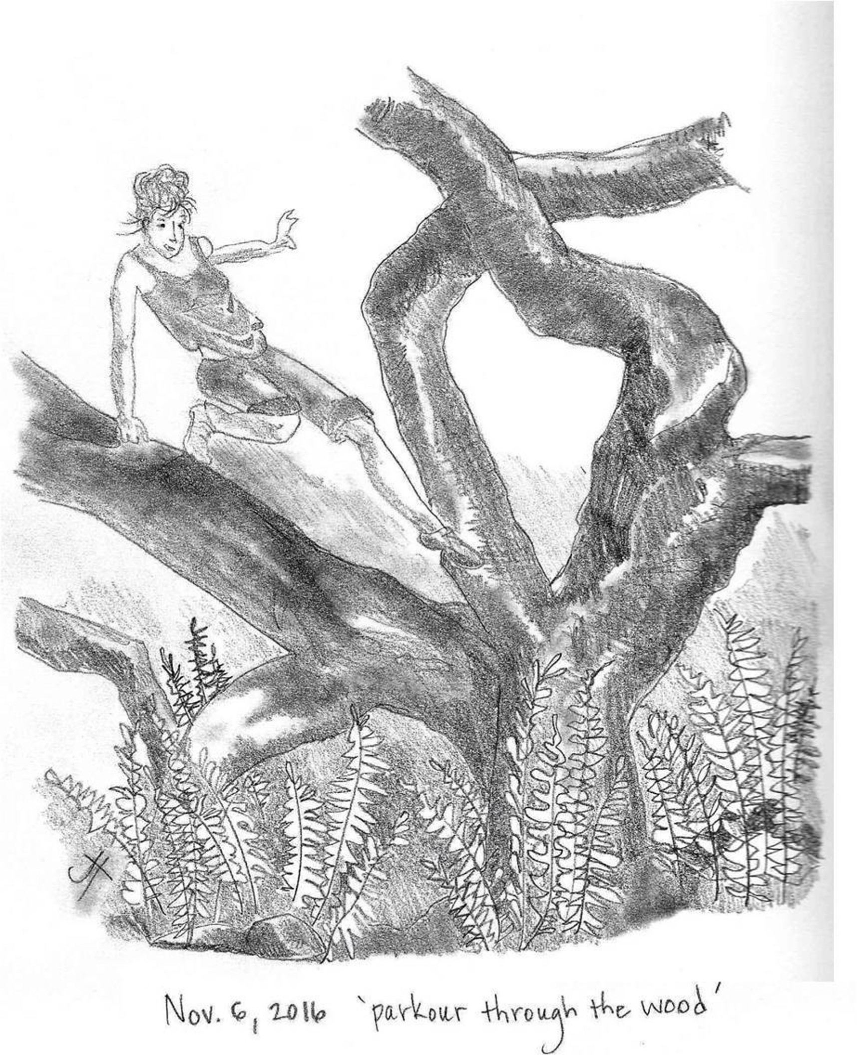 'parkour through the wood'test