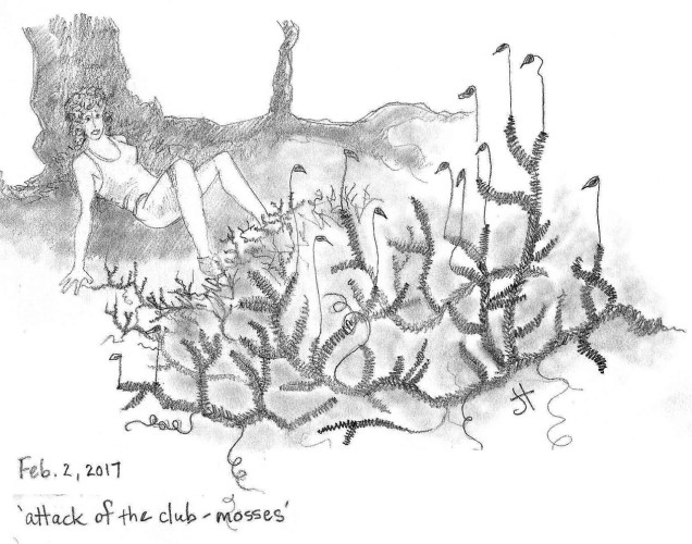 'attack of club-mosses' both halves