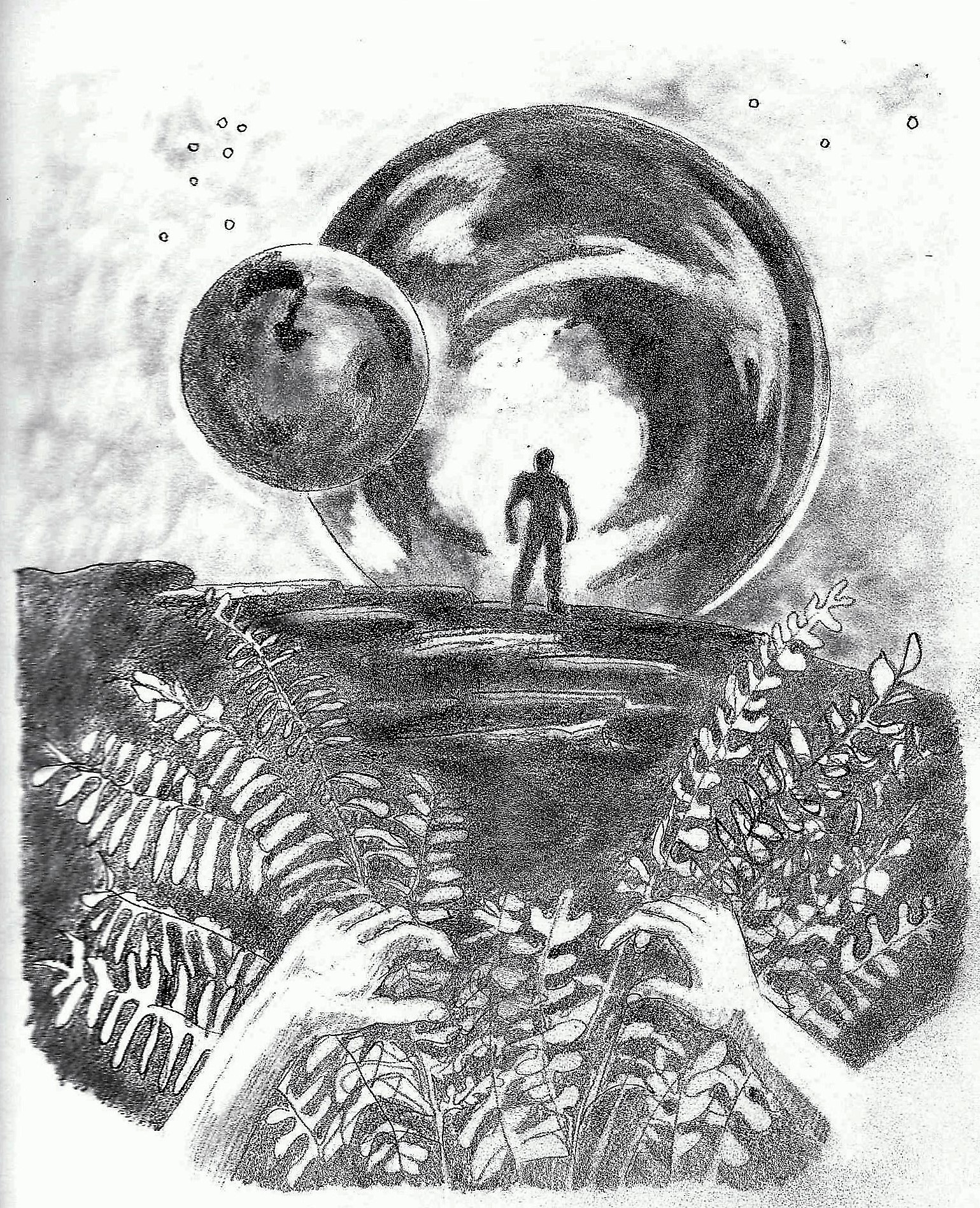 'horizon' Nov 10 2016 (2016_12_30 00_28_35 UTC)