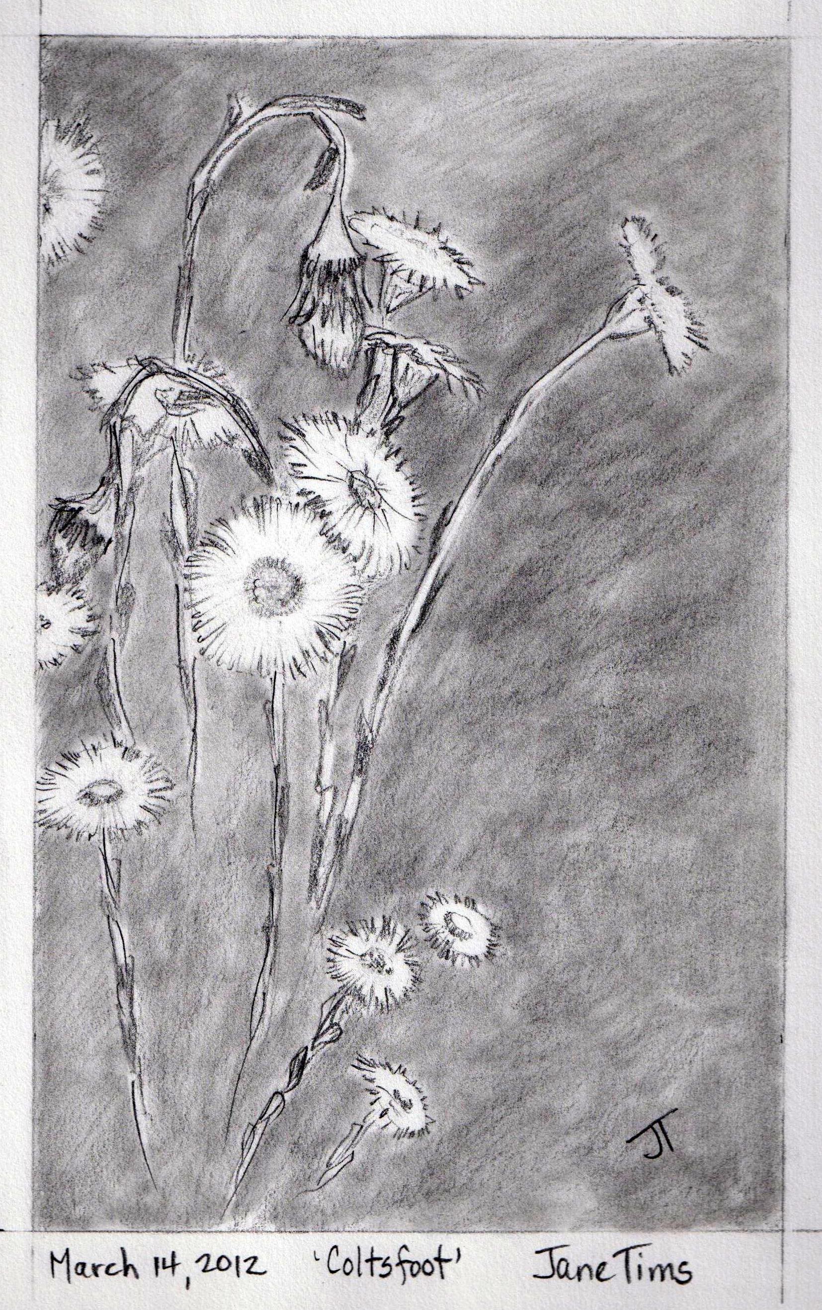 IMG357_crop (2016_12_30 00_28_35 UTC).jpg