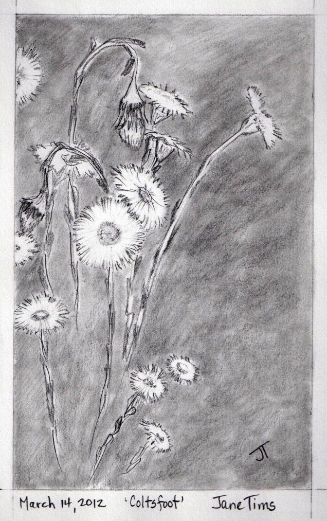 IMG357_crop (2016_12_30 00_28_35 UTC).jpg