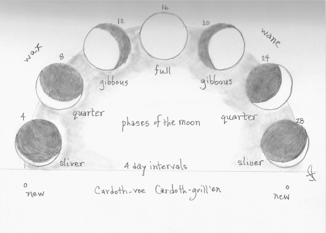 phases of the moon.jpg