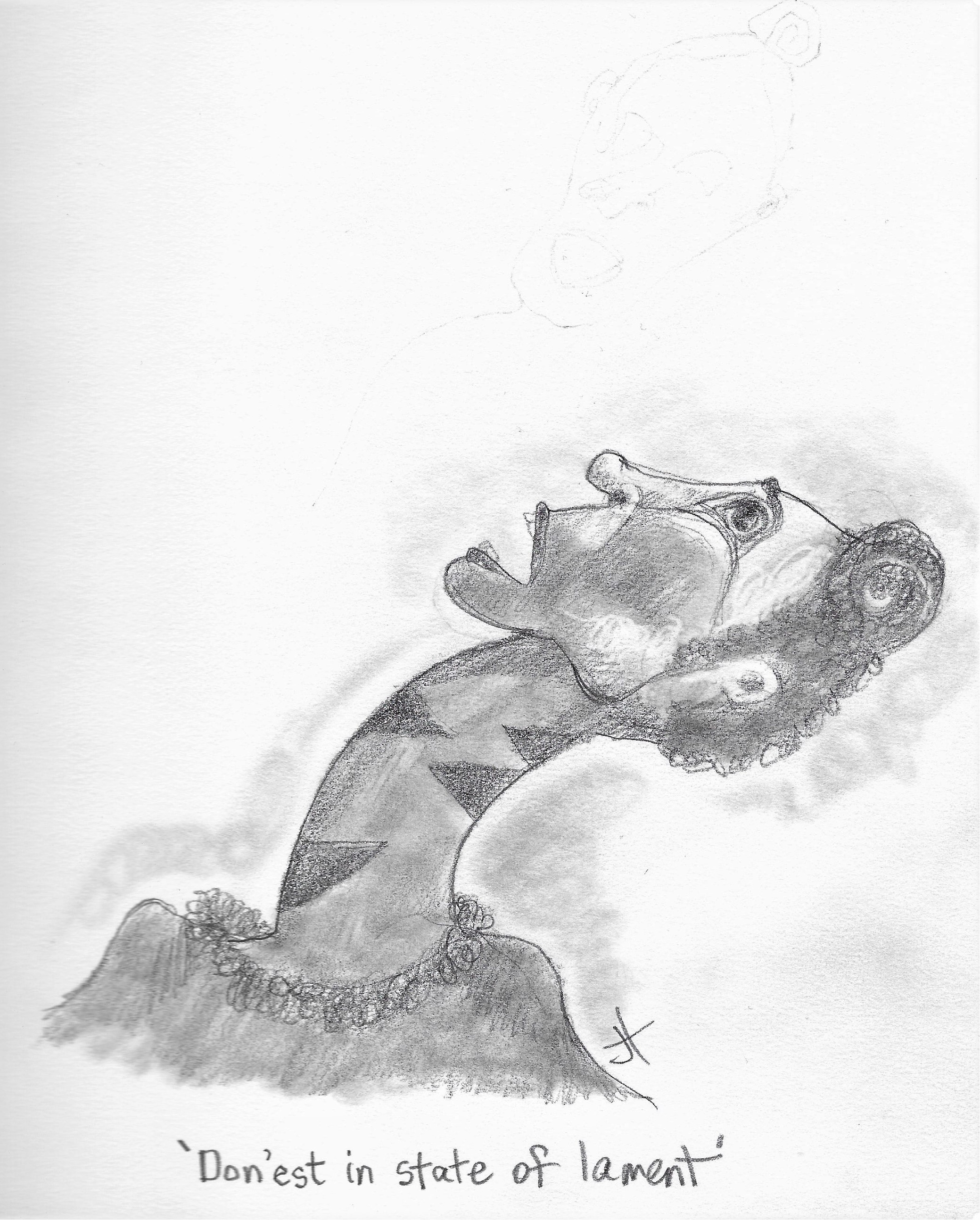 'Don'est in State of Lament'paperback