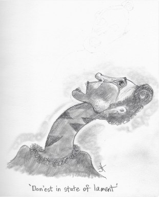 'Don'est in State of Lament'paperback